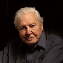 Bidragsyter David Attenborough