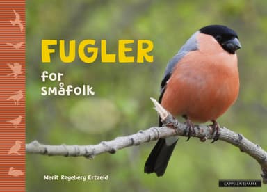 Fugler for småfolk