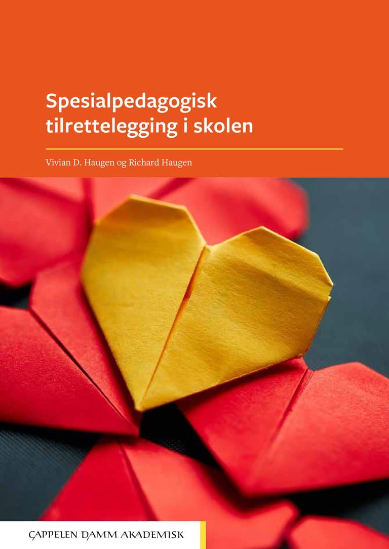 Omslag Spesialpedagogisk tilrettelegging i skolen av Vivian D. Haugen og Richard Haugen (Heftet)