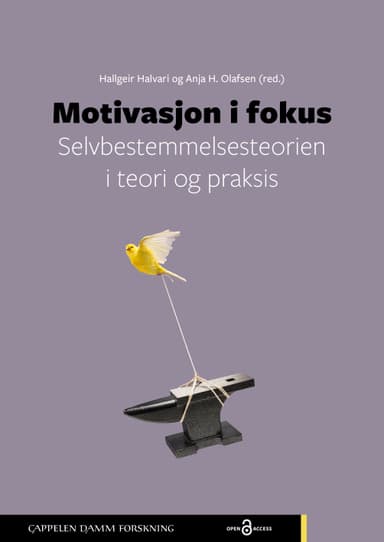 Motivasjon i fokus