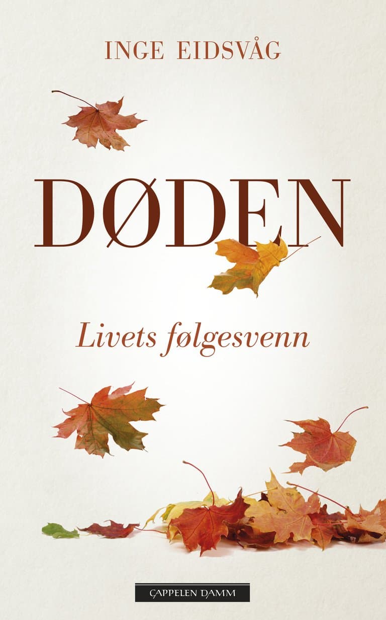 Omslag Døden av Inge Eidsvåg (Innbundet)