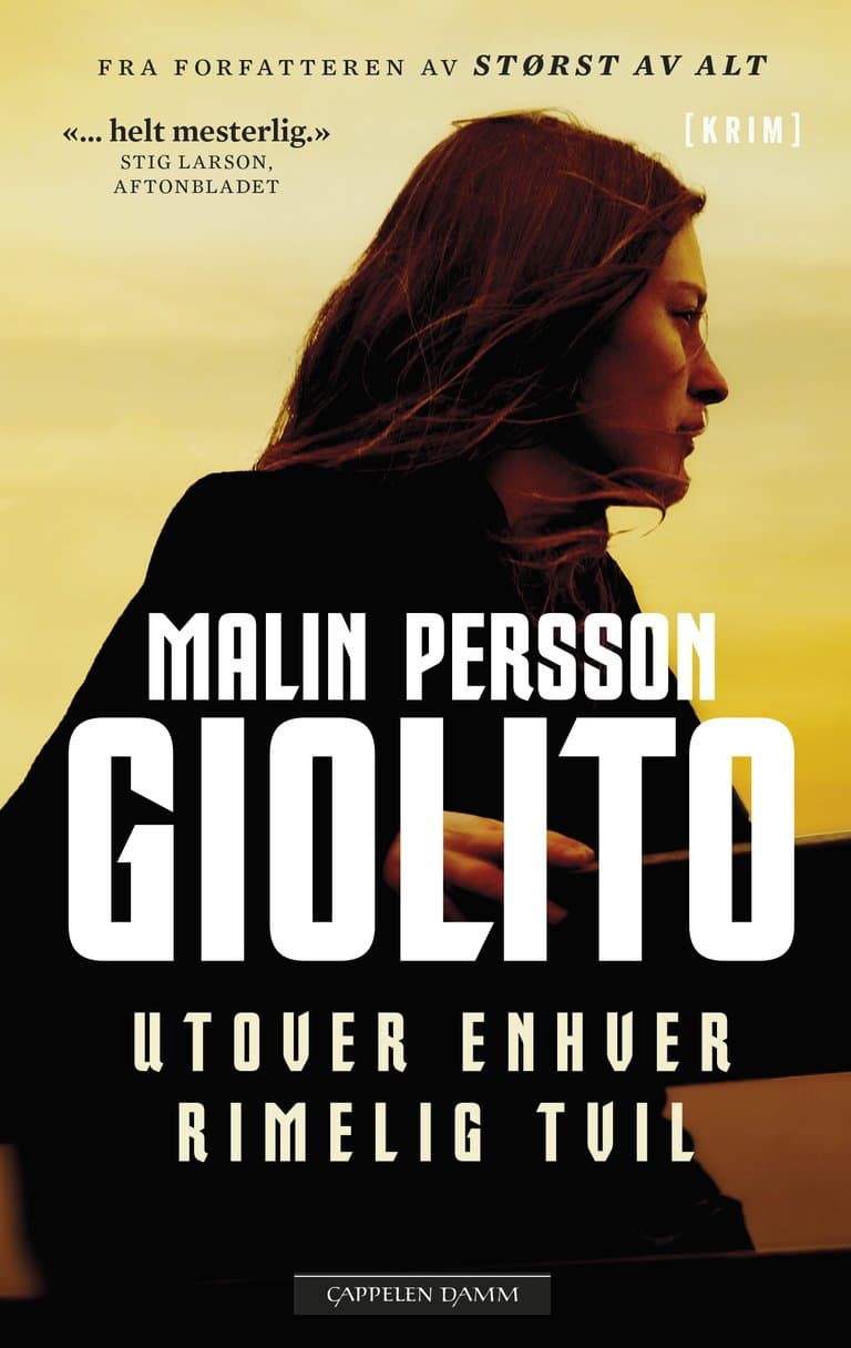 Omslag Utover enhver rimelig tvil av Malin Persson Giolito (Heftet)