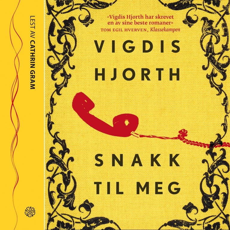 Omslag Snakk til meg av Vigdis Hjorth (Lydbok)