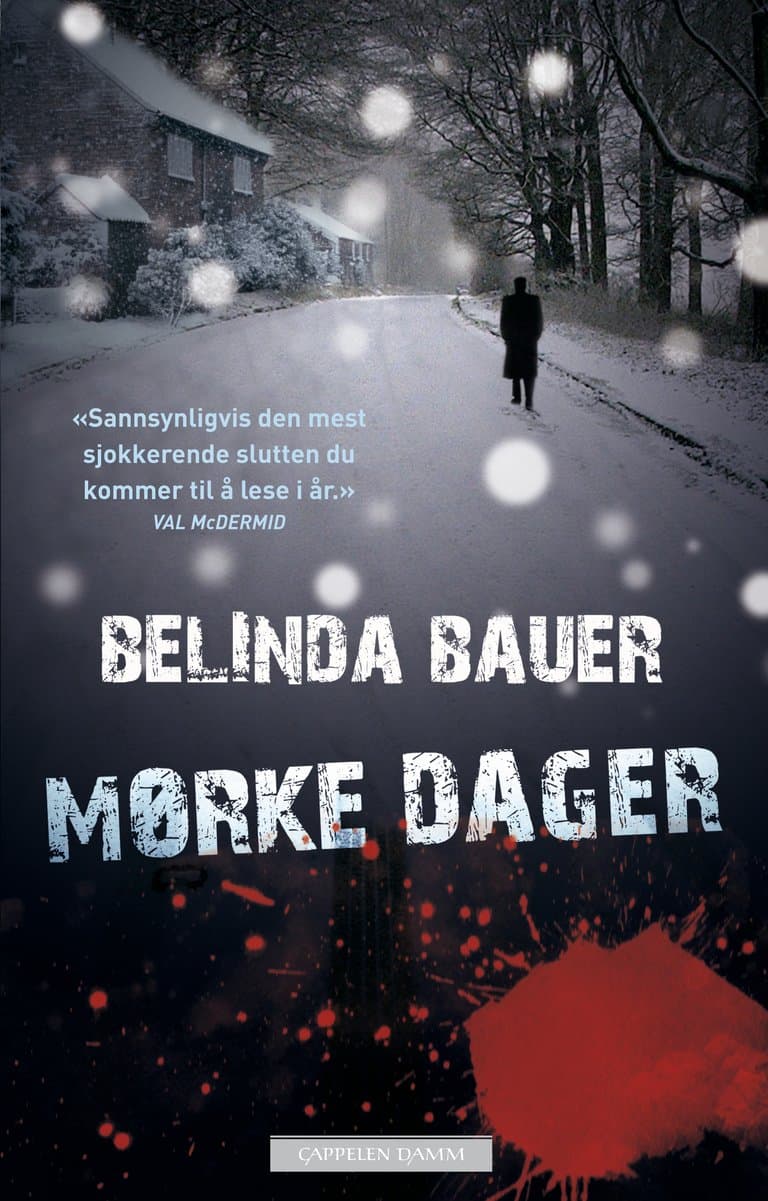 Omslag Mørke dager av Belinda Bauer (Ebok)