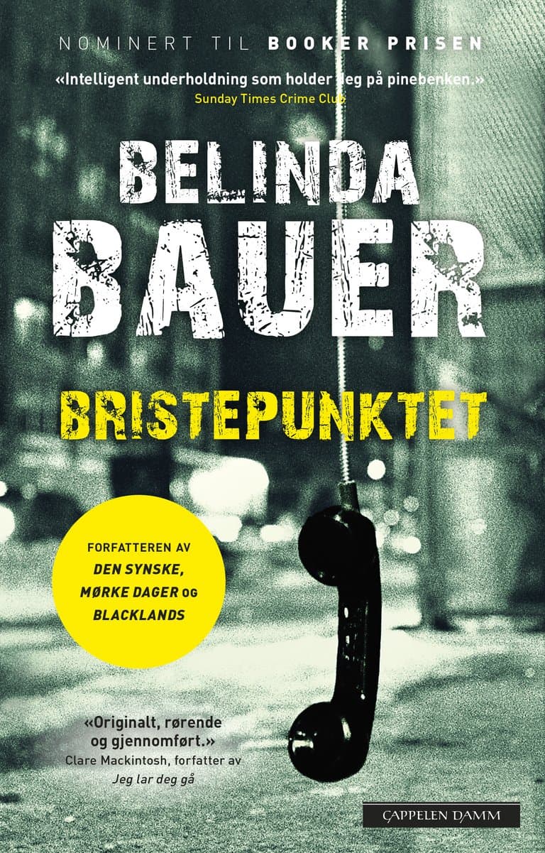 Omslag Bristepunktet av Belinda Bauer (Innbundet)