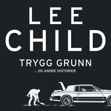 Trygg grunn - og andre historier