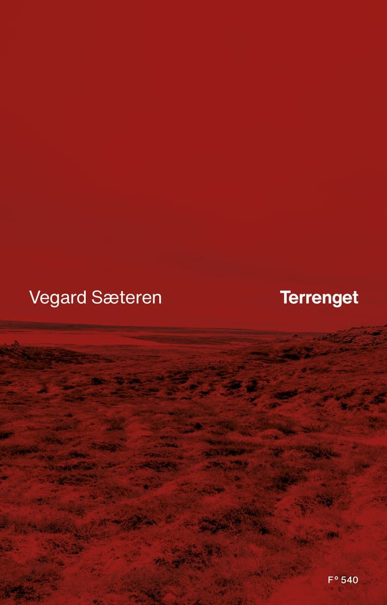 Omslag Terrenget av Vegard Sæteren (Ebok)