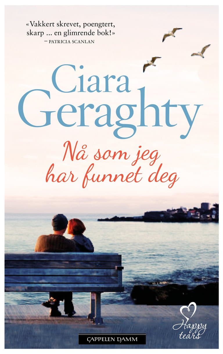 Omslag Nå som jeg har funnet deg av Ciara Geraghty (Ebok)