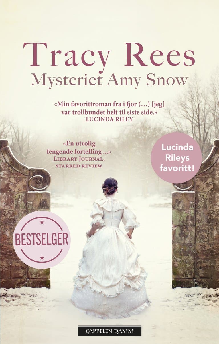 Omslag Mysteriet Amy Snow av Tracy Rees (Innbundet)