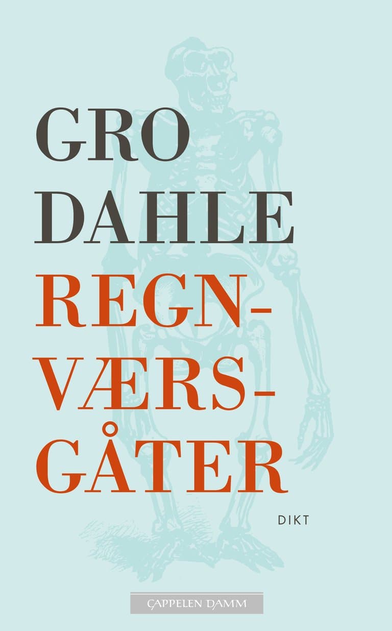 Omslag Regnværsgåter av Gro Dahle (Heftet)