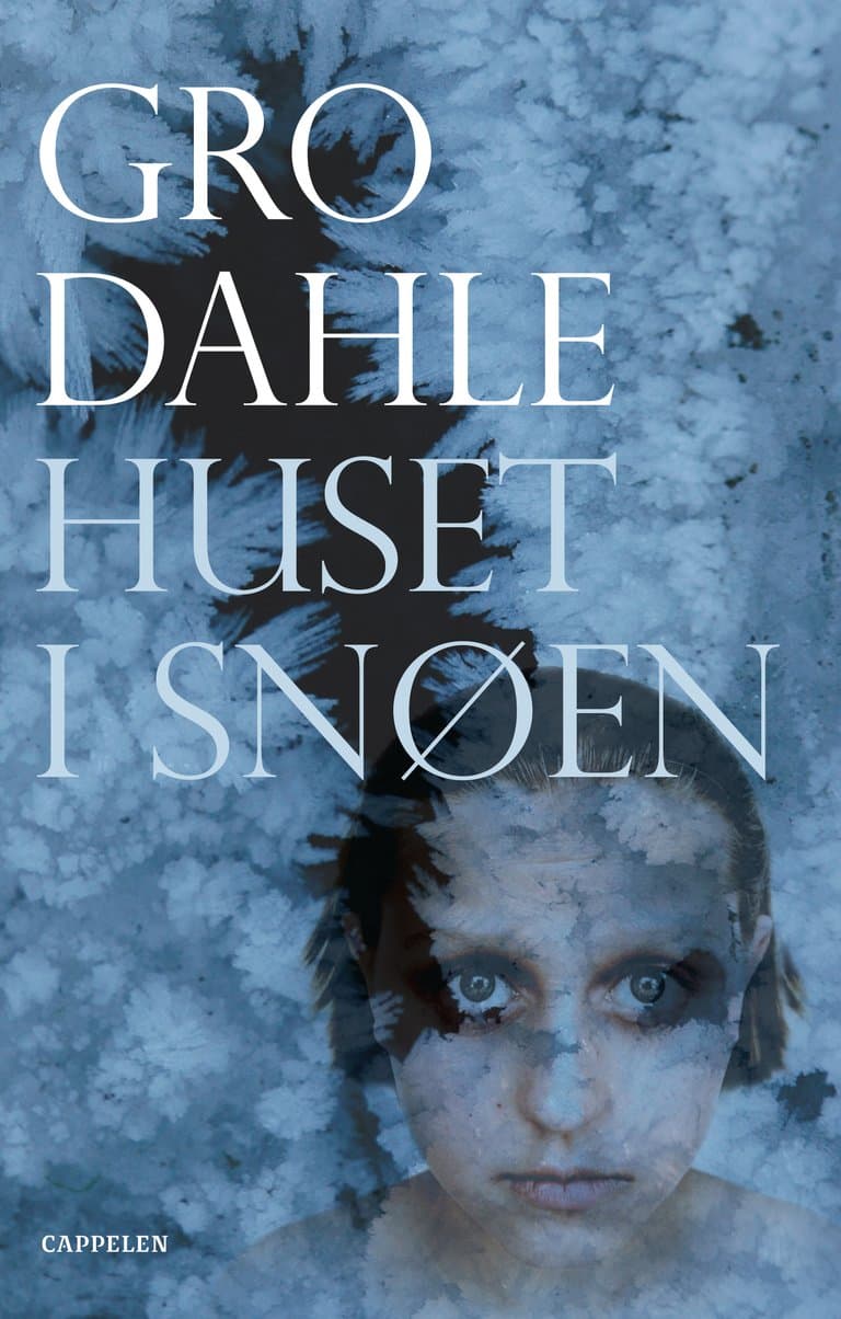 Omslag Huset i snøen av Gro Dahle (Innbundet)
