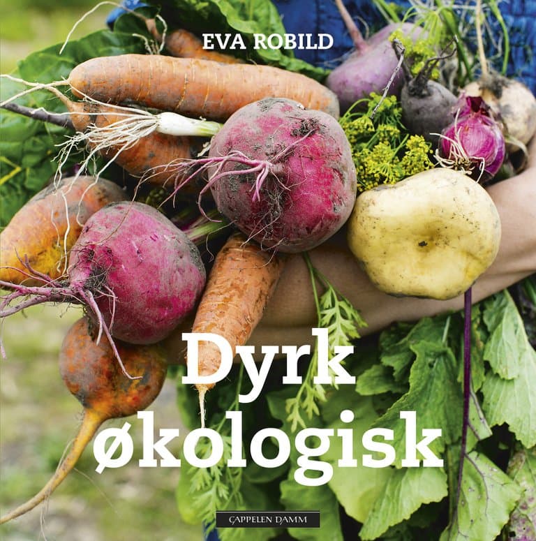 Omslag Dyrk økologisk av Eva Robild (Innbundet)