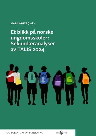 Et blikk på norske ungdomsskoler: Sekundæranalyser av TALIS 2024